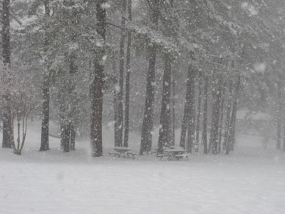 Snow 2010!